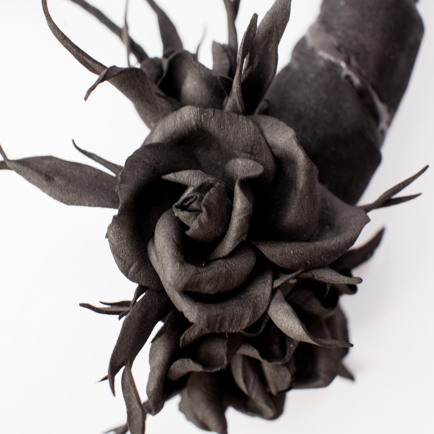 Black horns headband with roses for Halloween party.